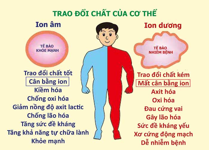 Tác dụng của Ion âm đến sức khỏe của con người
