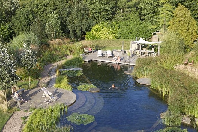 Thiết kế bể bơi sinh thái kiểu Bio-NP