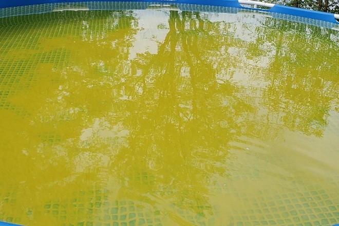 Hậu quả của tình trạng nước bể bơi bị nhiễm sắt