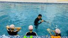 Nội quy bể bơi trường học an toàn