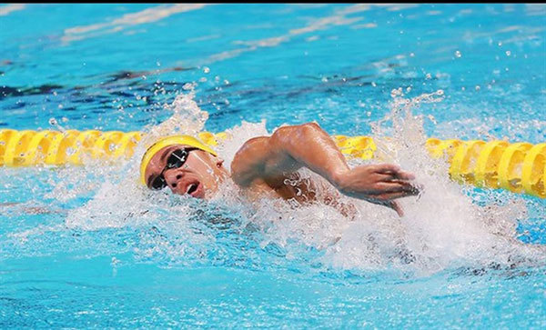Kỹ Thuật Bơi Sải Cơ Bản Bạn Cần Biết
