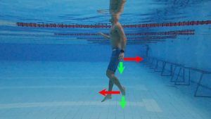 Kỹ Thuật Giữ Thăng Bằng Trên Mặt Nước