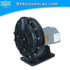 Máy bơm axit mono 1.5HP (không kèm lọc thô)